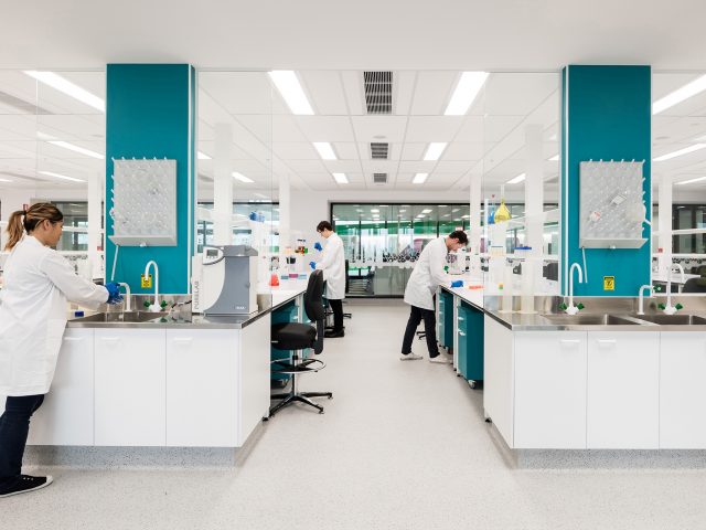 Tranquilidade sem ftalatos